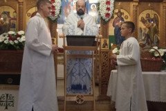 IMG_20220424_204410-Medium