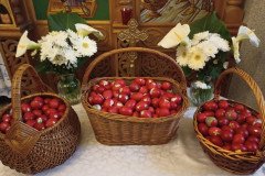 IMG_20220424_204524-Medium