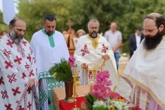 viber_image_2022-08-11_08-33-34-974