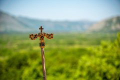 viber_image_2022-05-12_14-38-43-503