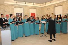IMG-4ef6905264738188673a43fe0bf7e8c6-V-Medium