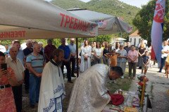 IMG-4068e7f127040a1d7a49bb0fd7cfaf64-V-Medium