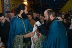 DSC_4704-Medium