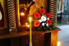 DSC06937-Medium