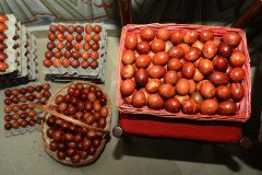 DSC_4794-Medium