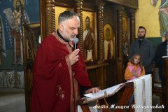 DSC_6865-Medium