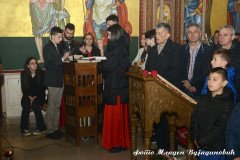 DSC_6962-Medium