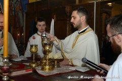 DSC_6991-Medium