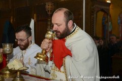DSC_6992-Medium