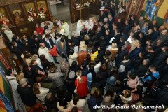 DSC_7000-Medium