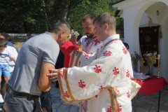 IMG-4e01458d1ca35e46d47b3ab80e36d37e-V-Medium