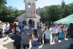 IMG-a6c5a3a717753112248ac3d17b48f7cd-V-Medium