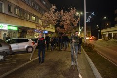 DSC_8358-Medium
