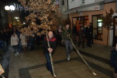 DSC_8367-Medium