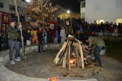 DSC_8399-Medium