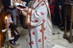 DSC06026-Medium-Medium