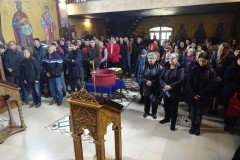 DSC06031-Medium-Medium