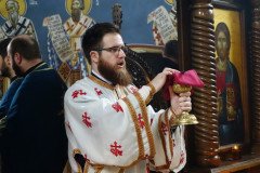 DSC06059-Medium-Medium