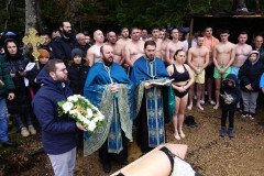 DSC06128-Medium-Medium