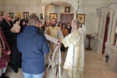 IMG_20230219_093332-Medium