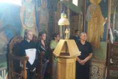 IMG-6d743ffcd89a026bc91820d2a98cd4a5-V-Medium