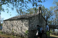 IMG_3312-Medium