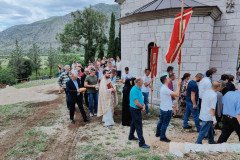 IMG-8dfa838b07b2f7857733b46968740c3c-V-Medium