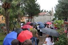IMG_2929