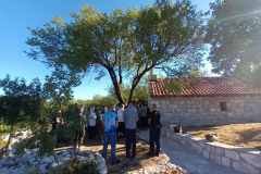 IMG-e110029efd2a80fc4cb647aa626ca24d-V