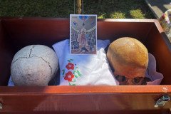 IMG-42c65e0234821e05ec7590b8a1cc47dd-V-Medium