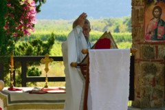 IMG-e705c13487821daabb12c3e00cc36bd9-V-Medium