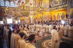 53297719331_b42bfe91a2_c