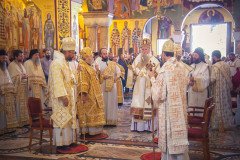 53297720411_c9f2bf901b_c