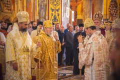 53297965323_546be23122_c