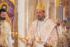 53298090849_0d58951859_c