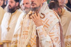 53298093429_f33d0809fd_c