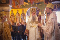 53298094044_9d70dd3202_c-1