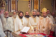 53298189145_7264daa58d_c