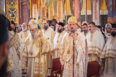 53298192770_139d7b0e70_c