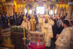 53298194230_390a54441e_c