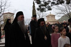 IMG_5400-Medium