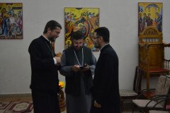 DSC_0104-Medium
