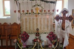 IMG-6264a8a16afdd3a018ddbf095abd4723-V-Medium