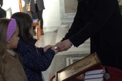 IMG_3604-2-Custom