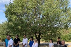 IMG-11b471f453cc5472e3b0c4977f55c260-V-Medium