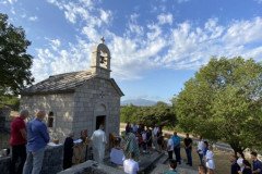 IMG-35e4a05d75af73035d46bf2dab0626e4-V-Medium