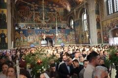 IMG_1706