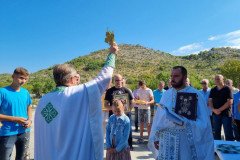 IMG-250db5d928cd5380d47f91d58d4c5b1e-V-Medium