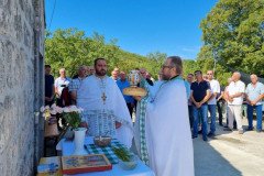 IMG-2d858a22bbd79d4e4160dd4e1dad47a6-V-Medium