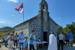 IMG-81391cfa70afc470a996e70983d23e82-V-Medium